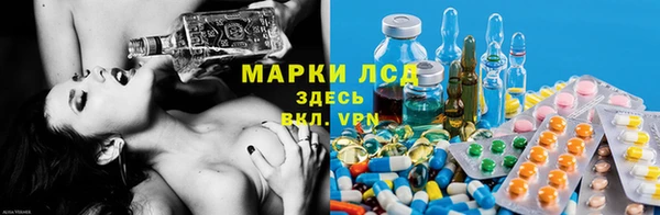 мяу мяу мука Няндома