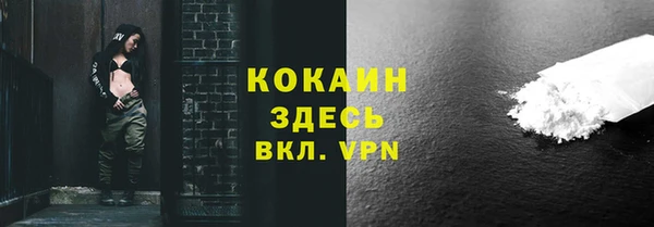 прущие грибы Балахна