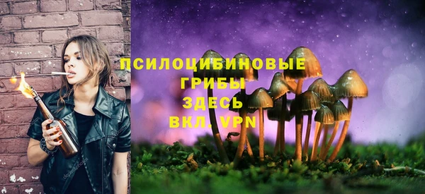 мяу мяу кристалл Нязепетровск