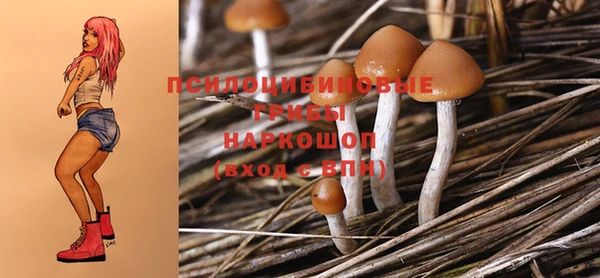 мяу мяу мука Няндома
