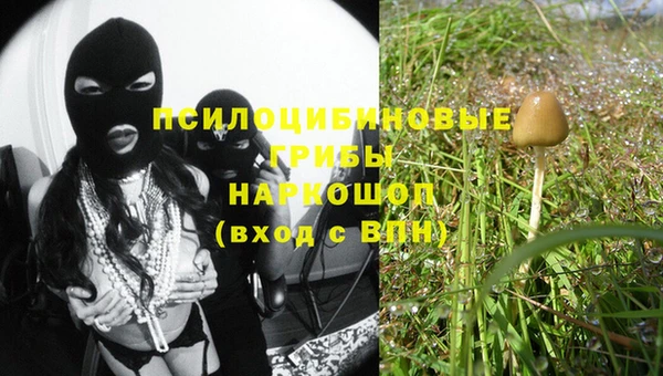 таблы Осинники