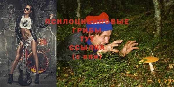 метадон Белокуриха