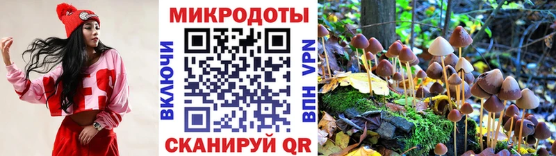 Псилоцибиновые грибы прущие грибы кракен tor Палласовка
